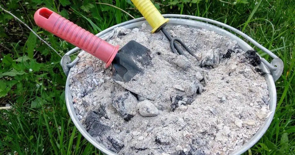 Nikdy nesázejte okurky bez TOHOTO: Při sázení okurek do země to ihned vhoďte do díry.