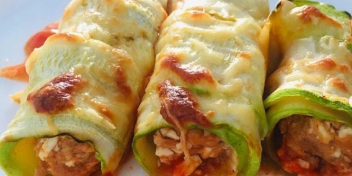 FIT CANnelloni