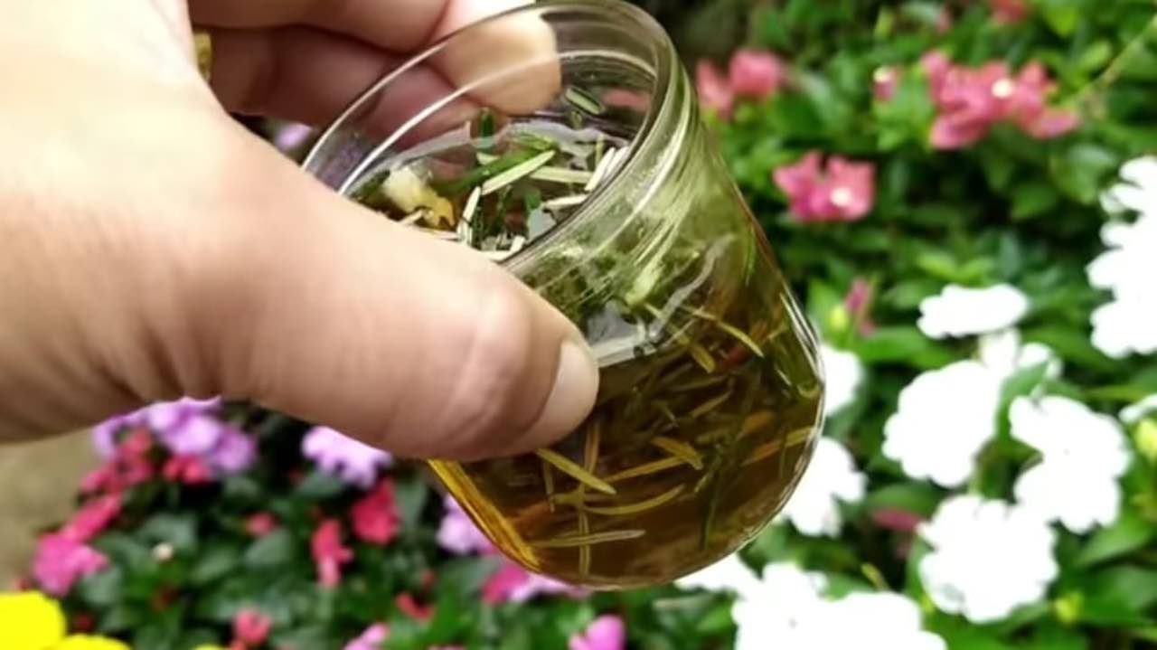 Naplňte 1 hrnek a na zahradě a balkoně vám rozkvete spousta květin