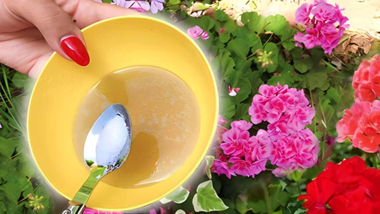 Pokud chcete zahradu, kterou vám bude okolí závidět, použijte tuto výkonnou směs