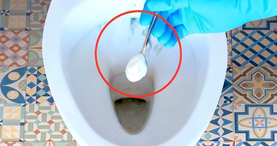Ucpaný záchod, nevolejte instalatéra: stačí hrst | Vyřešte problém