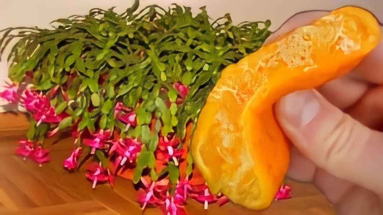 Nikdy nekvetlo takto: 1 polévková lžíce této ingredience dělá rozdíl