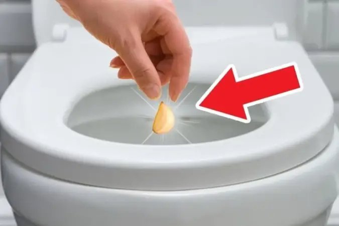 Spláchnutí stroužku česneku do záchodu: babská rada, která řeší tento hrozný problém. Úžasné výsledky druhý den!