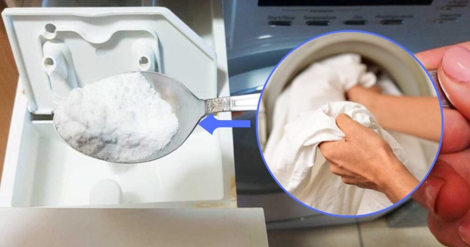Oblečení bílé a čisté jako mléko: potřebujete pouze tuto přísadu