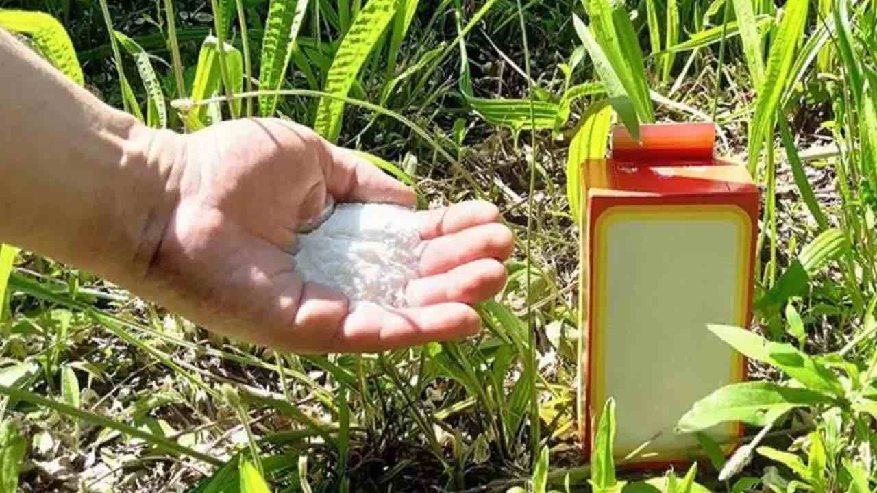Hrst této ingredience zregeneruje celou zahradu na 4 sezóny
