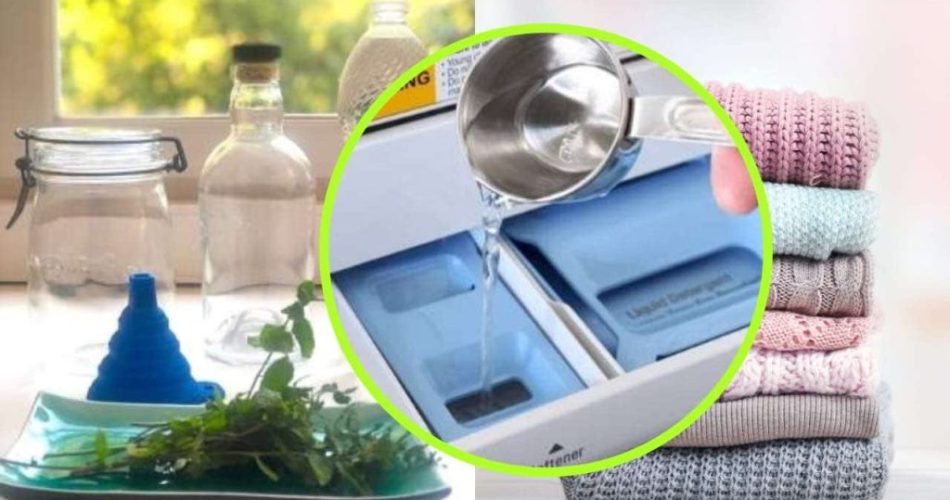 Domácí aviváž, oblečení s hodně mátovým aroma: jak ji připravit