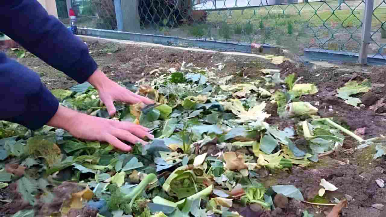 No tires los restos de plantas del jardín, valen oro si las reutilizas así