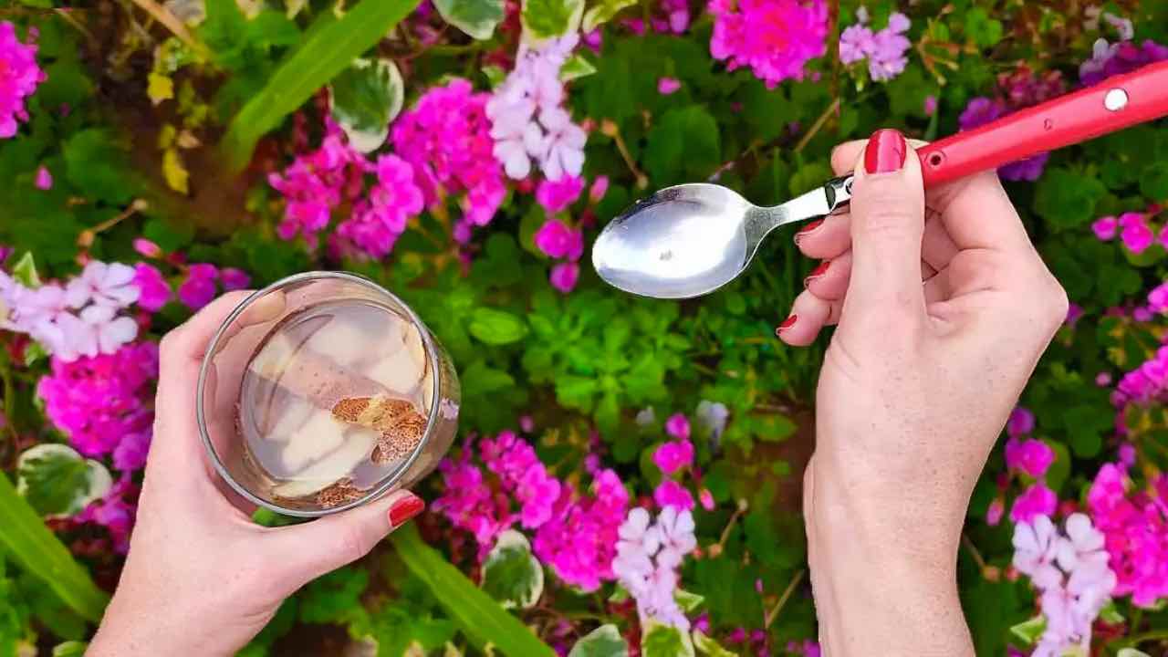 Pokud chcete zahradu plnou květin, kterou vám bude každý závidět, musíte to udělat