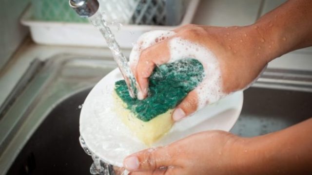 Houba na nádobí: Odborník vysvětluje, jak ji dezinfikovat a jak často ji měnit!
