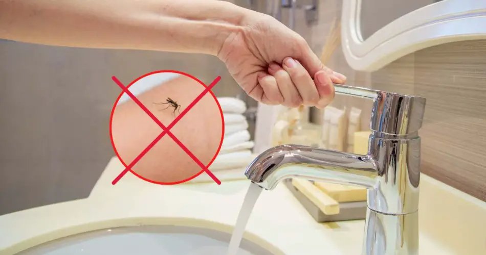 Komáři, kterých se můžete během chvilky zbavit pomocí staromódní metody faucetu