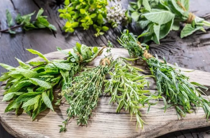 Suché aromatické bylinky: Takto vydrží po celý rok