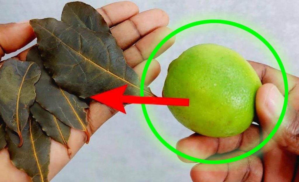 Nejstarší trik hospodyněk: vaření bobkových listů a citronu – ušetříte spoustu peněz!