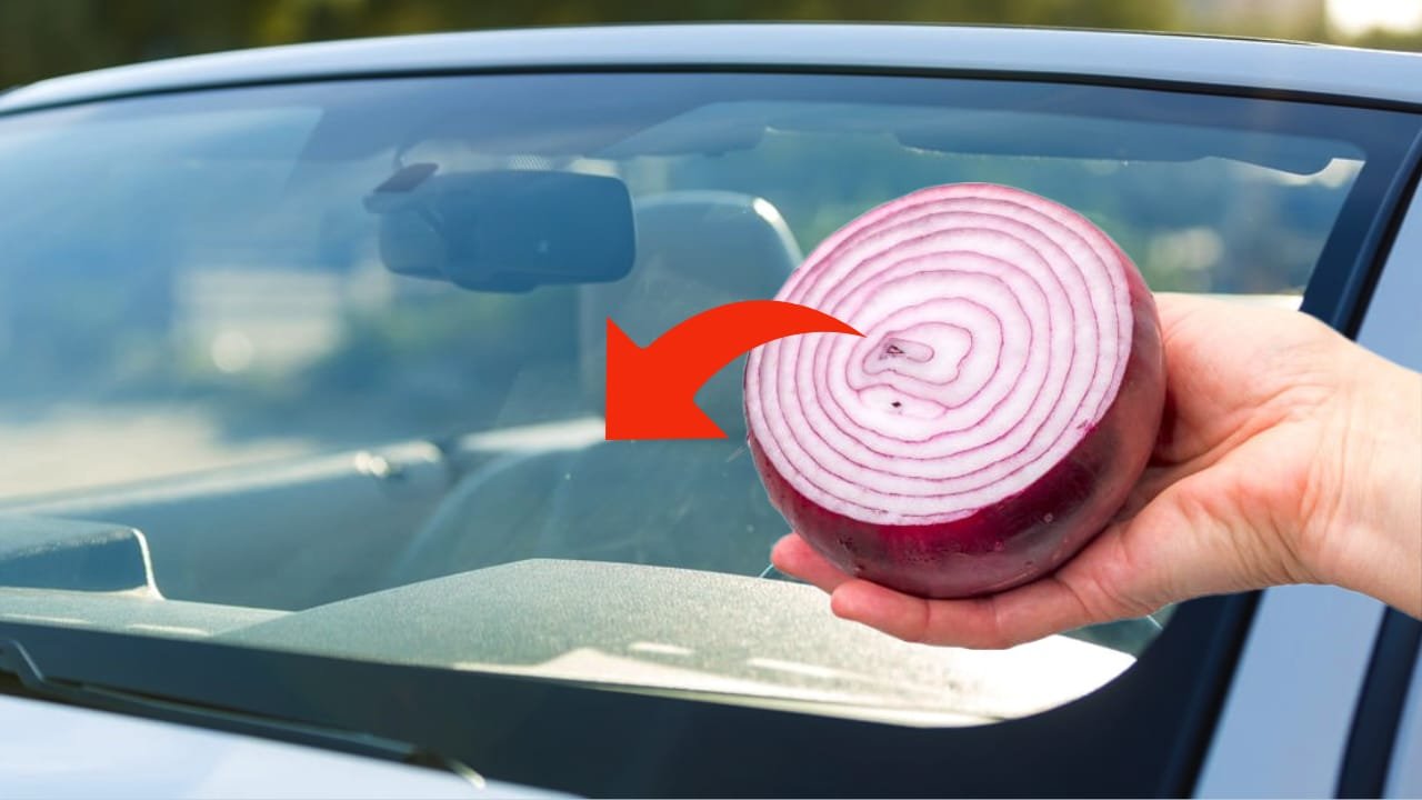 Cibule na čelním skle vašeho auta, nikdy si nedokážete představit, jaký velký problém řeší