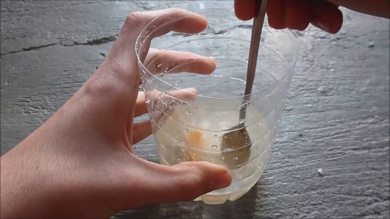 Zde je návod, jak si doma vyrobit past na mouchy a komáry: zabere to jen pár minut