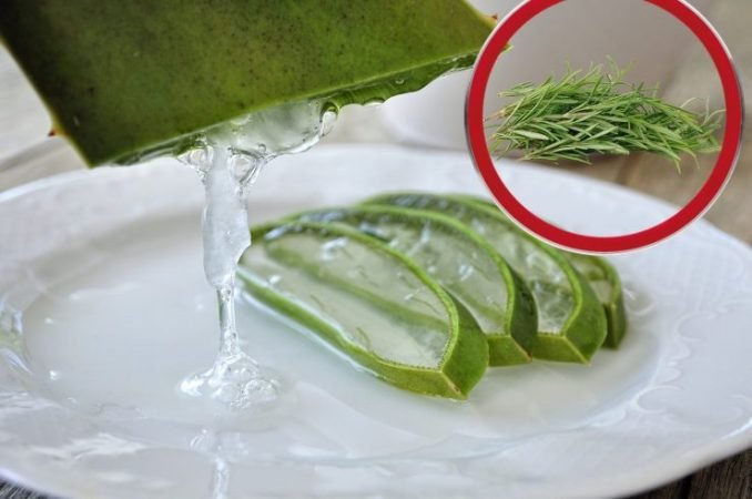 Smíchejte rozmarýn a aloe vera. Stačí to udělat dvakrát týdně!