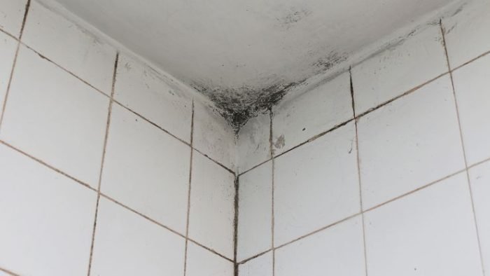 Už žádná plíseň na sprchových dlaždicích | Rychlý a snadný trik, který by měl znát každý