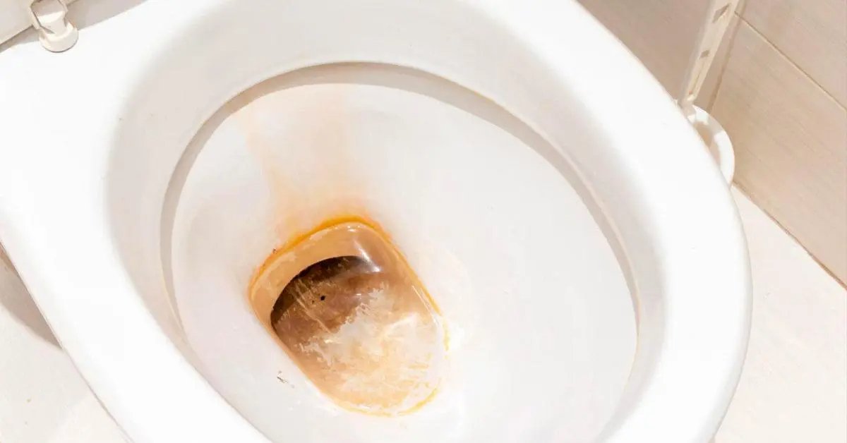 Jak odstranit vodní kámen ze dna toalety, aby byla jako nová?