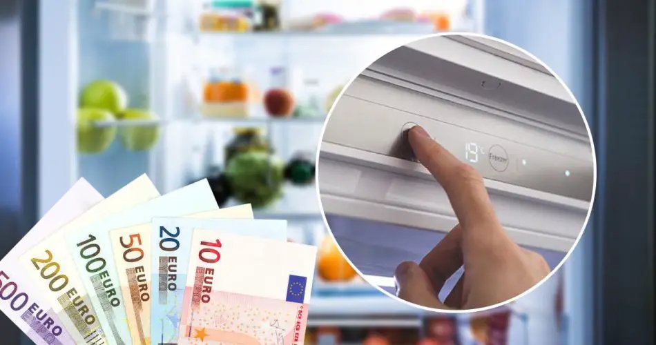 Lednička, jak snížit svůj účet: Existuje funkce, která to dokáže