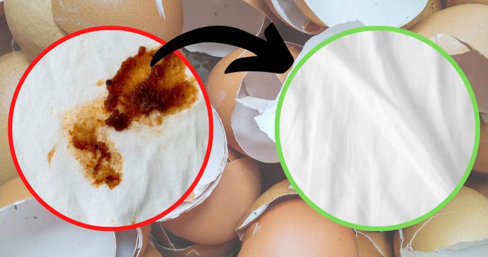 Vaječná skořápka, k čemu jsou odstraňovače skvrn? Dejte si to do bot: nikdy tomu nebudete věřit