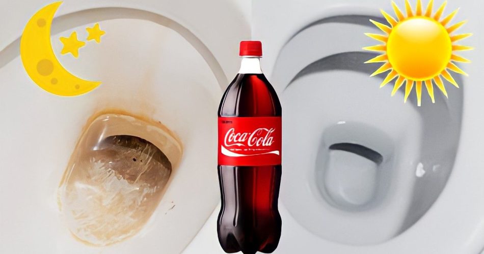Nalijte Coca Colu do záchodu a nechte ji přes noc: ráno to pro vás bude nové