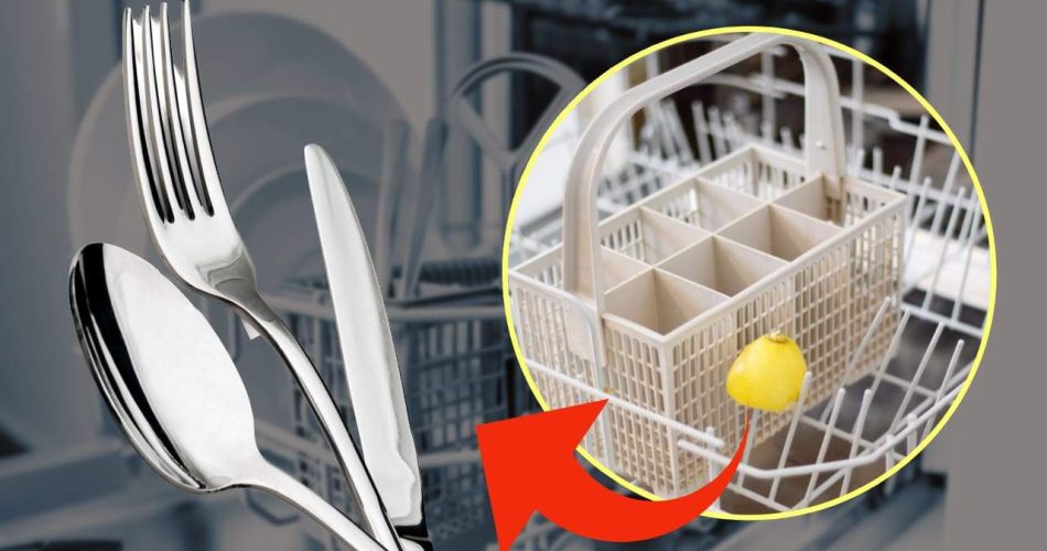 Vložte citron do košíku na příbory: neomylný trik, jak získat lesklé nádobí