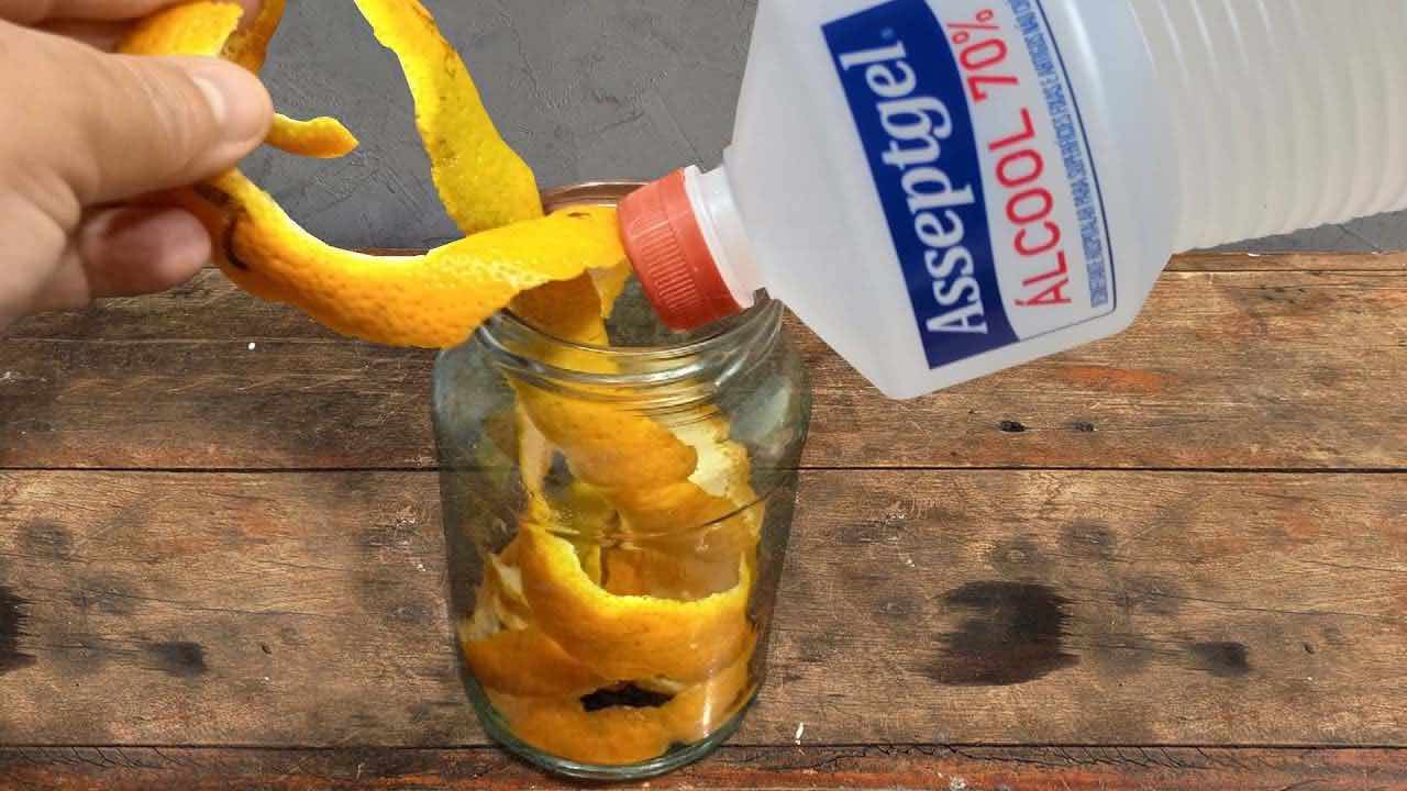 Pomerančové kůry, pokud je jednou dáte do alkoholu, pak to uděláte vždy