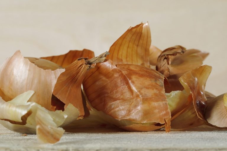 Jak povzbudit umírající orchideje cibulovou slupkou
