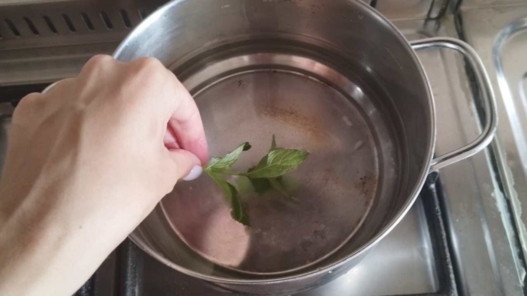 Vařit 3 lístky máty v hrnci: o 10 minut později se to stane doma