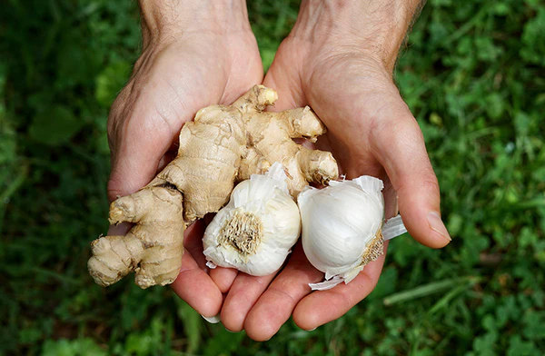 Med, citronová šťáva, cibule, česnek a nastrouhaný zázvor: používejte lžičku každý den a budete překvapeni
