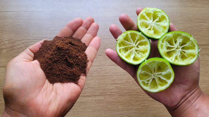 Stačí smíchat KÁVOVÝ PRÁŠEK a CITRON a už ho nikdy nebudete muset kupovat v supermarketu